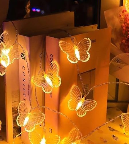 butterfly led light